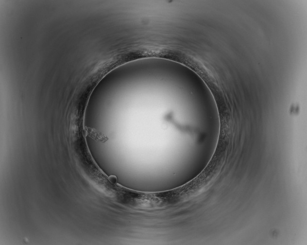 X0000100380215200806061226