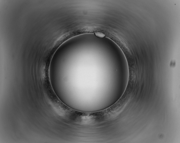X0000100380216200806061226