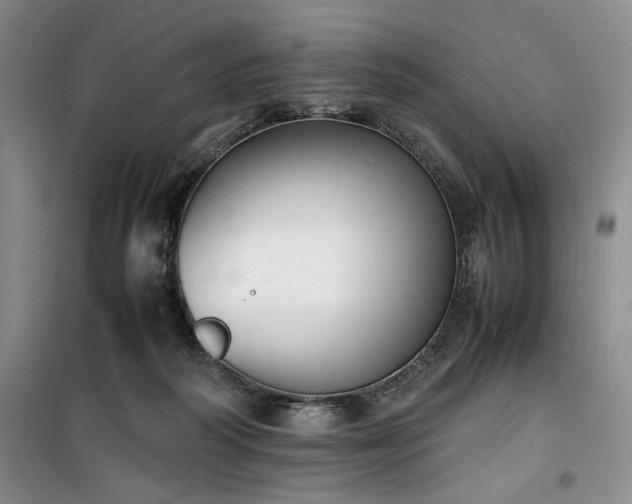X0000100380218200806061226