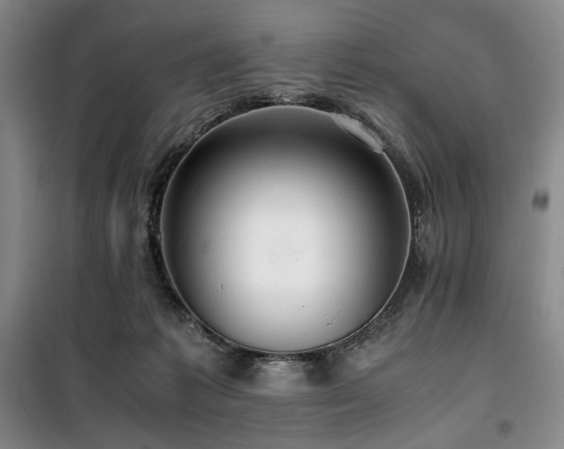 X0000100380221200806061226