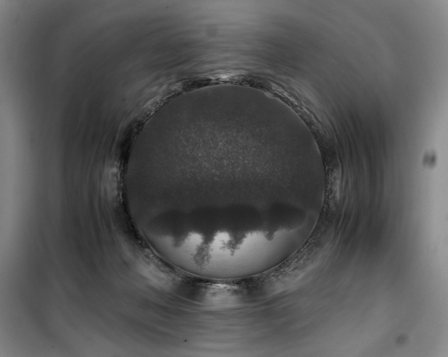 X0000100380222200806061226