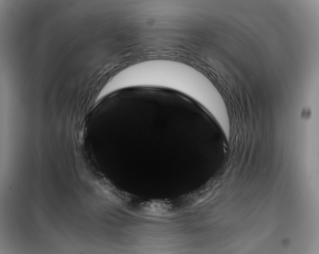 X0000100380223200806061226