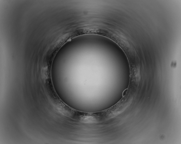 X0000100380224200806061226