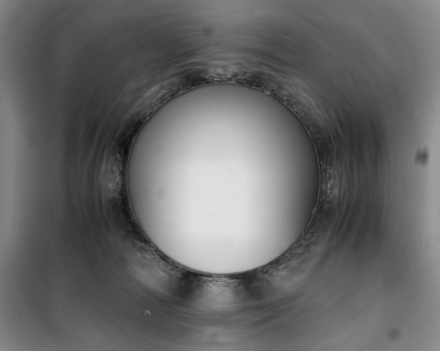 X0000100380226200806061226