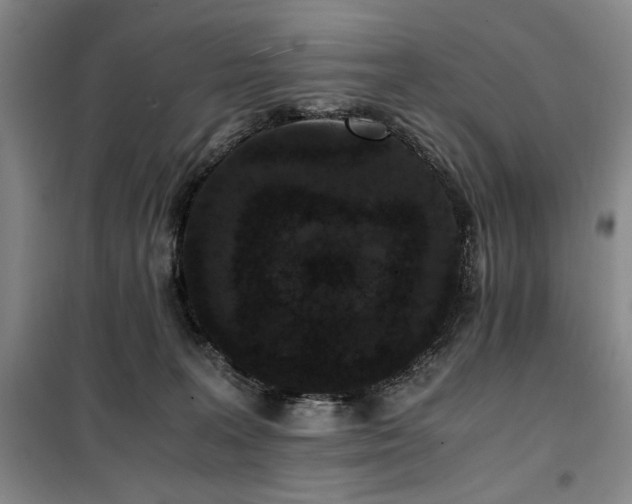 X0000100380227200806061226