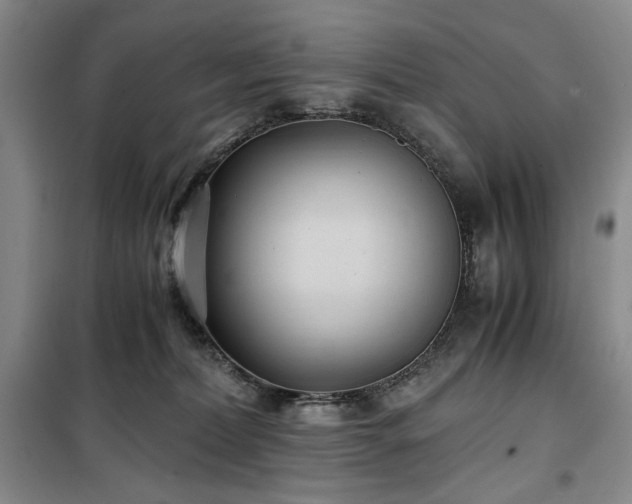 X0000100380228200806061226