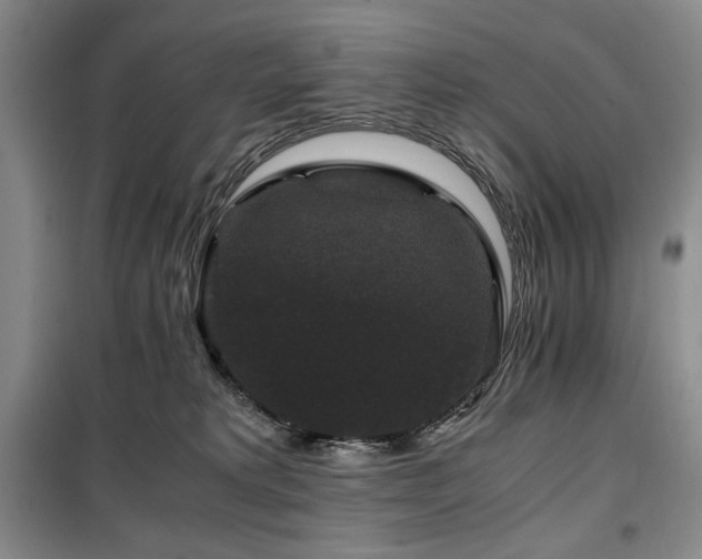 X0000100380229200806061226