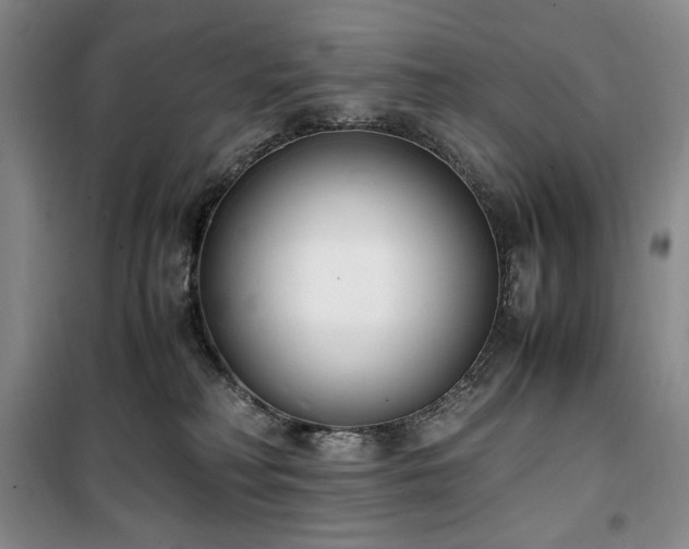 X0000100380230200806061226