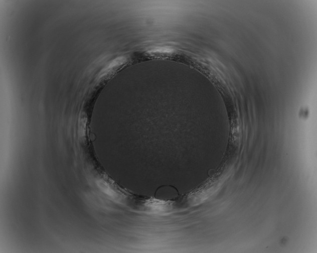 X0000100380231200806061226