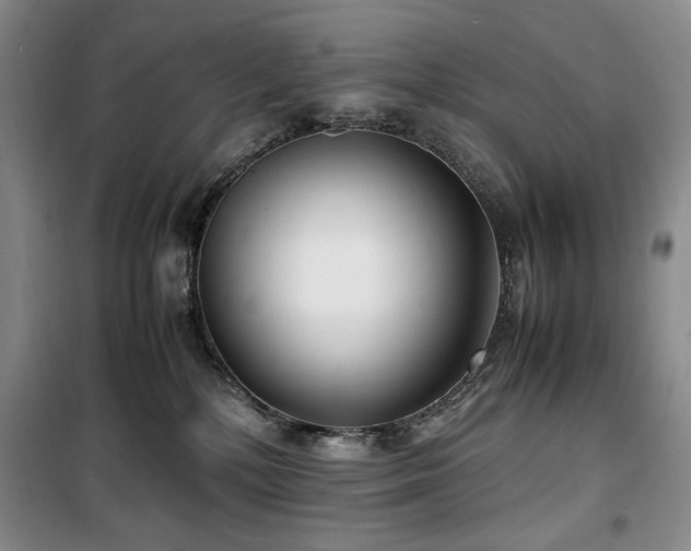 X0000100380232200806061226