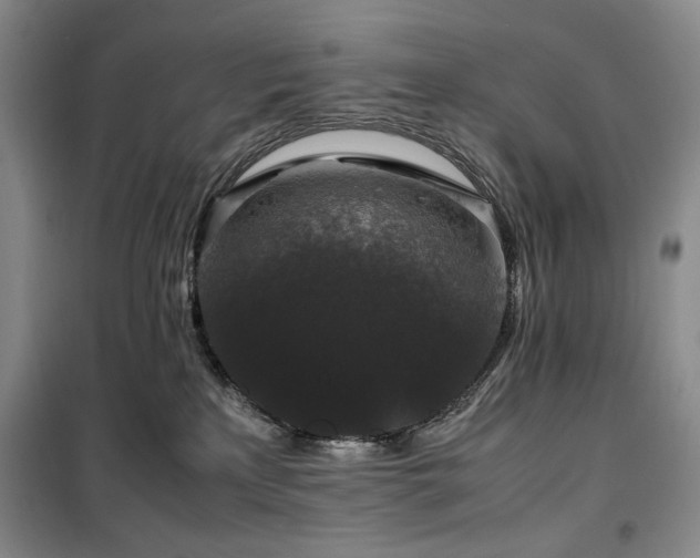 X0000100380233200806061226