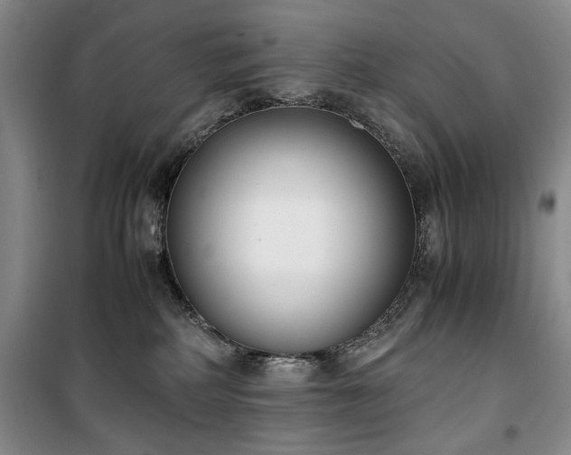 X0000100380234200806061226