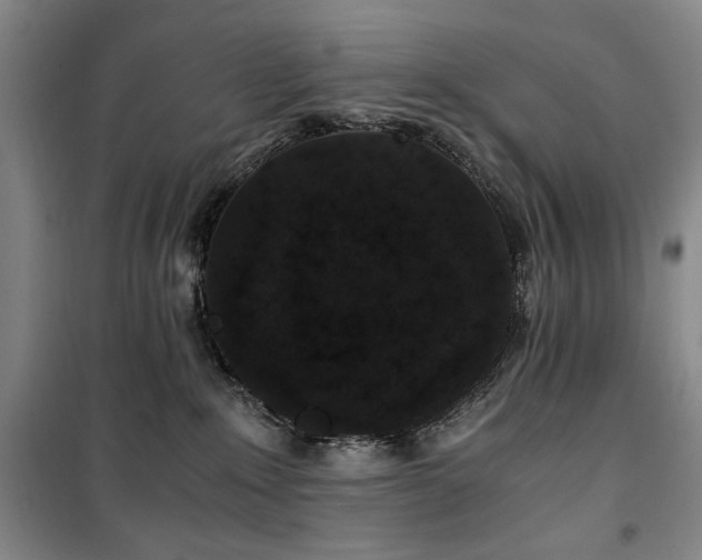 X0000100380235200806061226