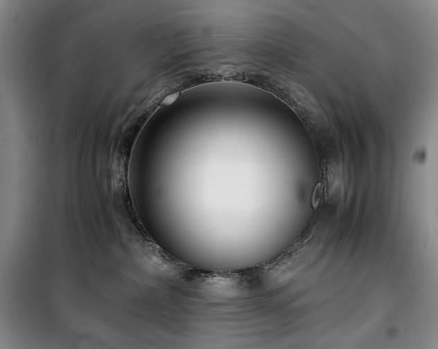 X0000100380236200806061226