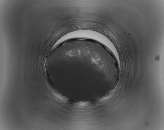 X0000100380237200806061226