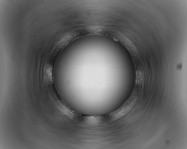 X0000100380238200806061226