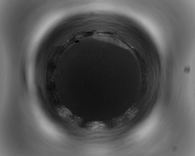 X0000100380239200806061226