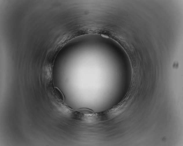 X0000100380240200806061226