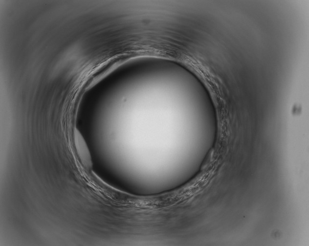 X0000100380241200806061225