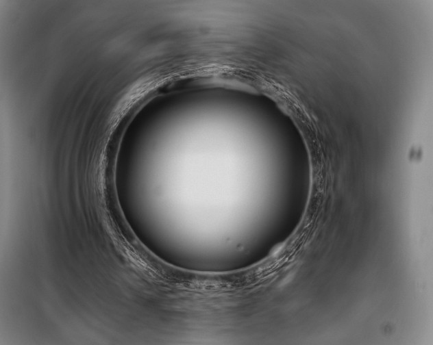 X0000100380242200806061225