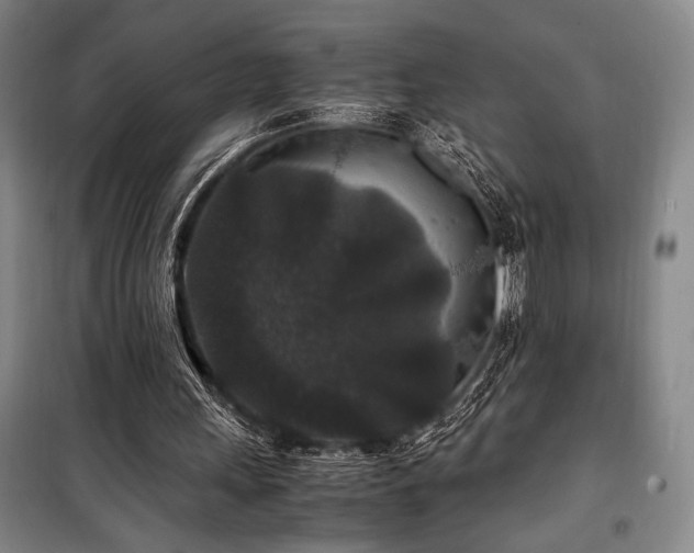 X0000100380243200806061225