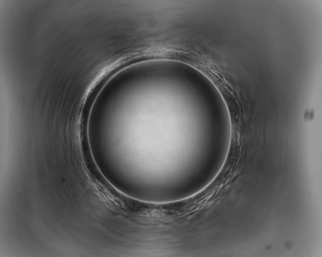 X0000100380244200806061225