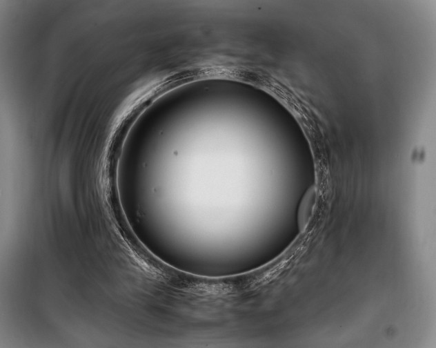 X0000100380245200806061225