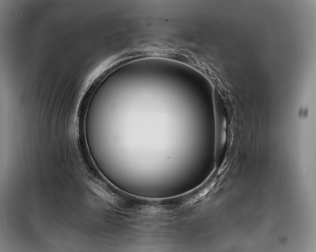 X0000100380246200806061225