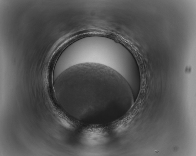 X0000100380247200806061225