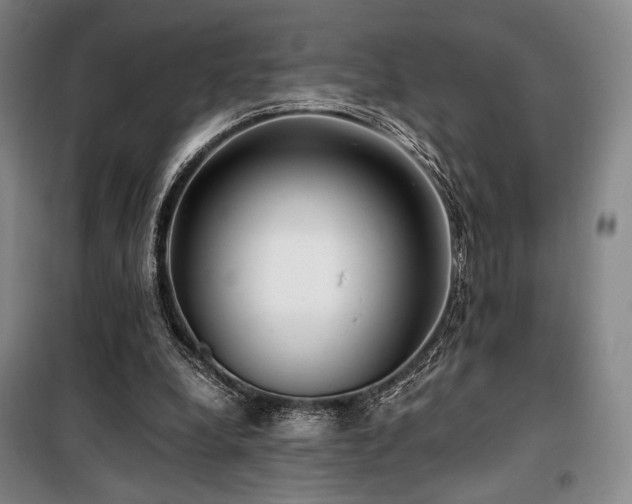 X0000100380248200806061225