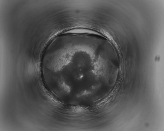 X0000100380249200806061225