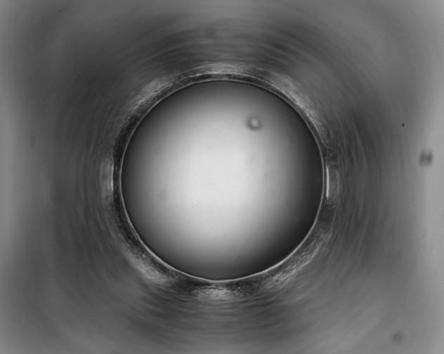 X0000100380253200806061225