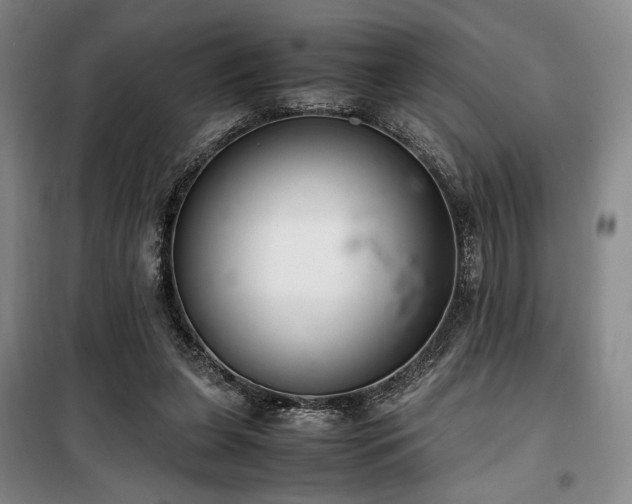 X0000100380255200806061225