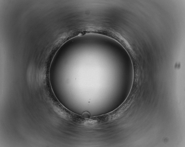 X0000100380257200806061225