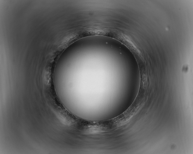 X0000100380259200806061225