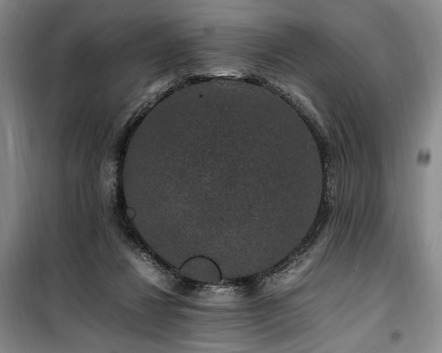 X0000100380260200806061225