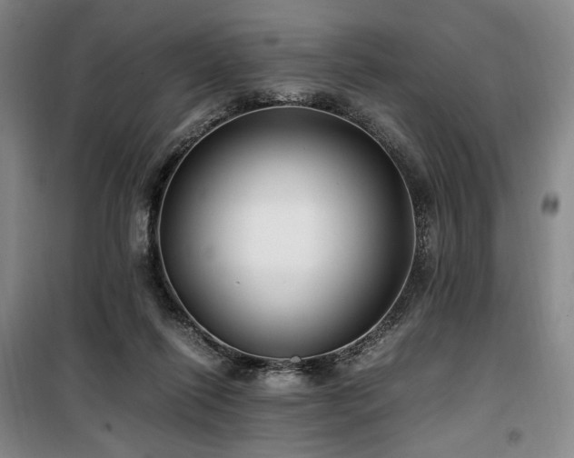 X0000100380262200806061225