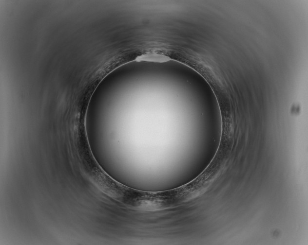 X0000100380263200806061225