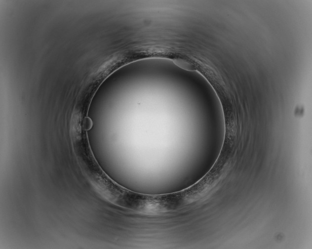 X0000100380264200806061225