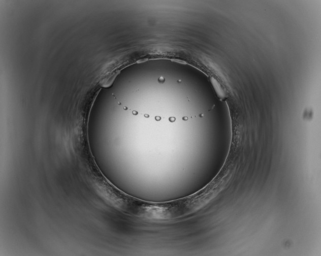 X0000100380265200806061225