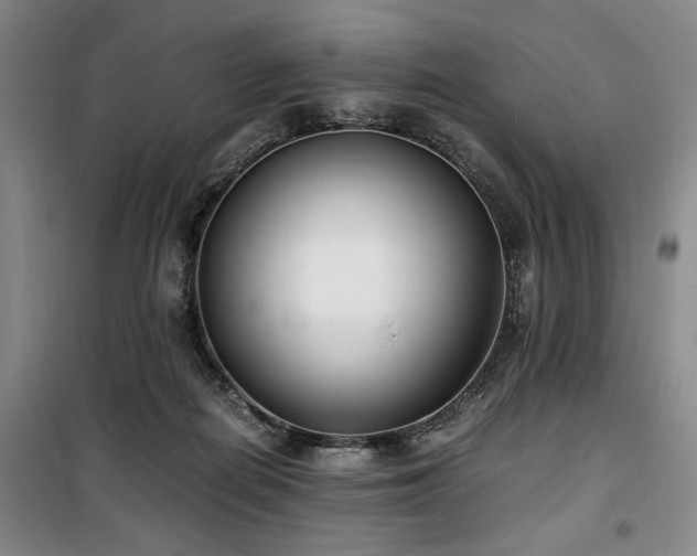 X0000100380266200806061225