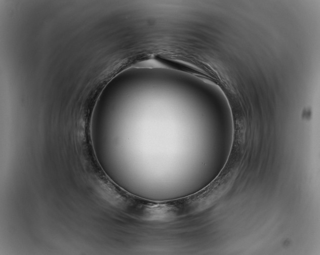 X0000100380269200806061225
