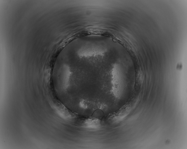 X0000100380271200806061226