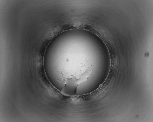 X0000100380272200806061226
