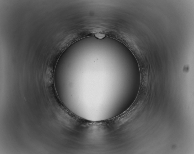 X0000100380273200806061226