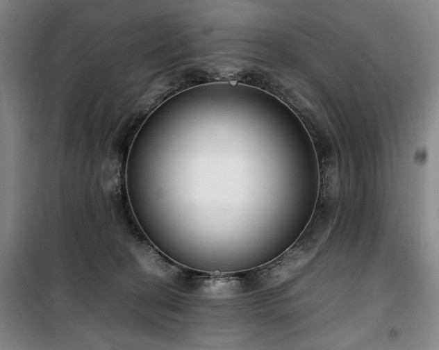 X0000100380274200806061226