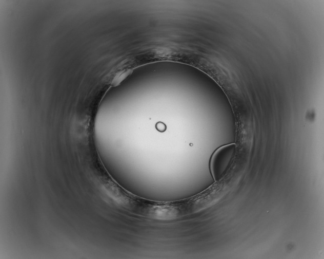 X0000100380275200806061226