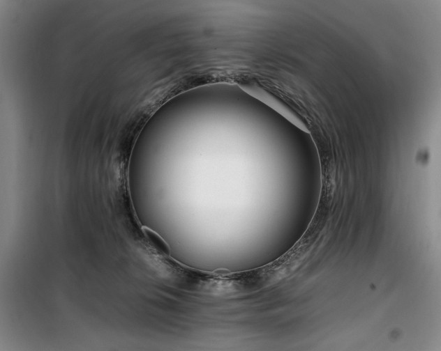 X0000100380276200806061226