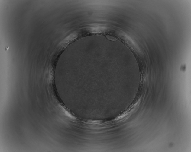 X0000100380277200806061226