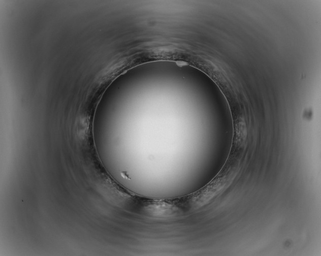 X0000100380278200806061226